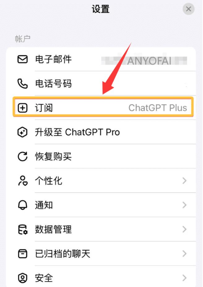 苹果礼品卡开通ChatGPT Plus会员最终确认页面